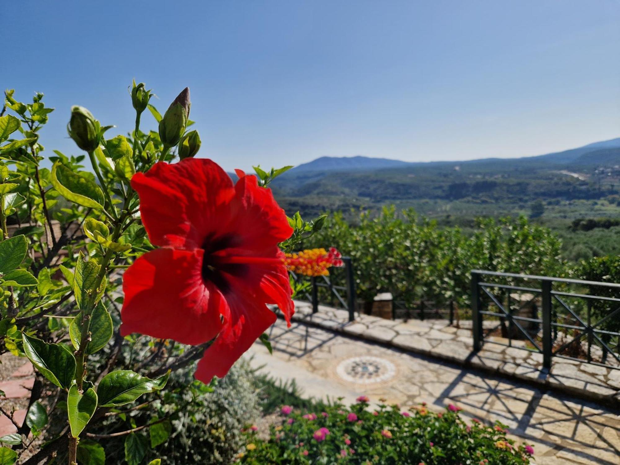 Tragana Villa Dış mekan fotoğraf